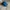 Adidas Casual Sneakers Pria navy blue photo 6