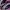 Converse Casual Sneakers Pria purple photo 5