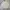 Kappa Futurist Casual Track jacket Pria cream photo 1