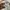 Kappa Futurist Casual Track jacket Pria cream photo 3