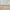 Shein Lolita Going out dress Wanita white tan photo 8