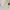 Shein Lolita Going out dress Wanita white tan photo 2