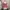 Lolita Coquette Cardigan Wanita purple pink photo 1