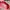 VANS Casual Sneakers Wanita pink photo 5