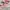 VANS Casual Sneakers Wanita pink photo 2