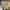 Tommy Hilfiger Luxury Casual Bag Pria green photo 1