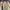 Tommy Hilfiger Luxury Casual Bag Pria green photo 2