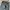 8seconds Streetwear Jeans Pria black gray photo 3