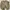 ZARA Coquette Cardigan Wanita green khaki photo 1
