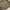ZARA Coquette Cardigan Wanita green khaki photo 3