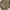 ZARA Coquette Cardigan Wanita green khaki photo 4