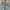 Vintage Streetwear Jeans Pria white gray photo 2