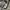 Vintage Streetwear Jeans Pria white gray photo 5