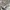 Levi's Streetwear Casual Formal shirt Pria white photo 6