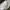 Levi's Streetwear Casual Formal shirt Pria white photo 5