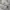 H&M Vintage Streetwear Jeans Pria white cream photo 3