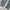 DOVER Vintage Streetwear Jeans Pria white blue photo 4