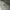 Stussy Vintage Streetwear T-shirt Pria gray photo 2
