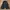 Uniqlo Avant Garde Trench coat Pria navy photo 5