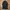 Uniqlo Avant Garde Trench coat Pria navy photo 4