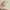 Casual Crossbody Bag Wanita tan photo 4