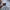 Japanese brand Vintage Casual Polo shirt Pria white photo 3