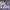 Reworked Hoody Pria purple photo 1