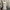 Polo Ralph Lauren Cottagecore Coquette Summer Dress Wanita White