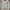 Polo Ralph Lauren Vintage Sweater Pria Green