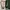 Streetwear Y2K Track jacket Pria green cream photo 4