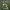 Streetwear Y2K Track jacket Pria green cream photo 5