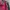 Nike Vintage Windbreaker Pria red black photo 3