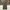 Schott NYC Streetwear Casual Casual pants Pria green photo 2