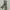 Y2K Casual Casual pants Pria green photo 2