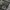 Y2K Casual Casual pants Pria green photo 5