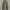 Y2K Casual Casual pants Pria green photo 1