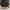 Luxury Gorpcore Sunglass Pria brown photo 1