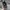 Adidas Sportswear Sneakers Pria black gray photo 6