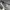 Adidas Sportswear Sneakers Pria black gray photo 1