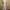 ZARA Vintage Maxi dress Wanita cream photo 1