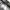 Burberry Y2K Luxury Flare pants Wanita gray photo 7