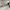 Vintage Sunglass Pria black photo 5