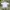 Casual Reworked Casual shirt Pria white photo 1