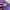 Fluke Skateboard Skater T-shirt Pria purple photo 5