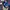 MLB Streetwear Y2K Hat Pria blue yellow photo 5