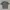 Quiksilver Vintage T-shirt Pria gray photo 5