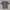 Quiksilver Vintage T-shirt Pria gray photo 1