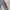 Polham Casual Bomber jacket Pria gray photo 4