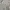 Tommy Hilfiger Minimalist Polo shirt Pria cream photo 5