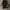 Vintage Y2K Parka Pria brown photo 5